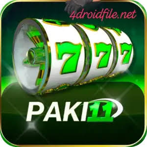 Paki11 Game logo